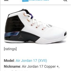 Rare find! - Air Jordan 17 Copper +